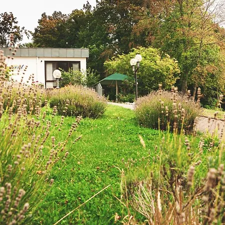 Taunustagungshotel 3*