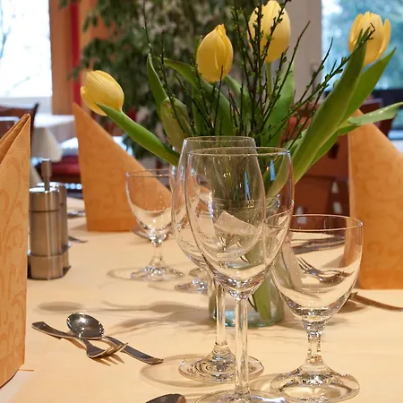 Taunustagungshotel Friedrichsdorf