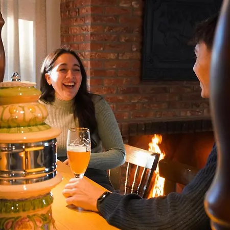 陶纳斯泰冈斯酒店 3*