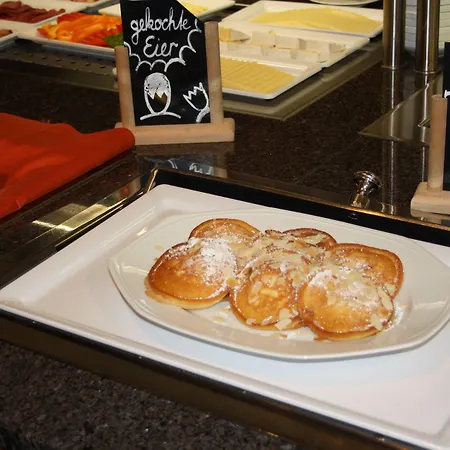 陶纳斯泰冈斯酒店 酒店