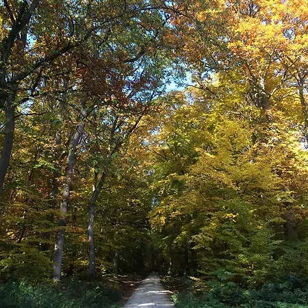 Taunustagungshotel 3*