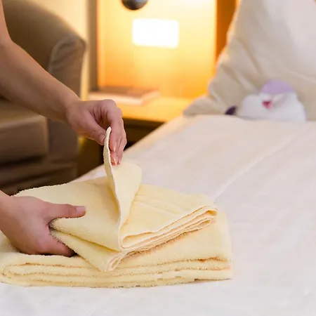 Taunustagungshotel 3*