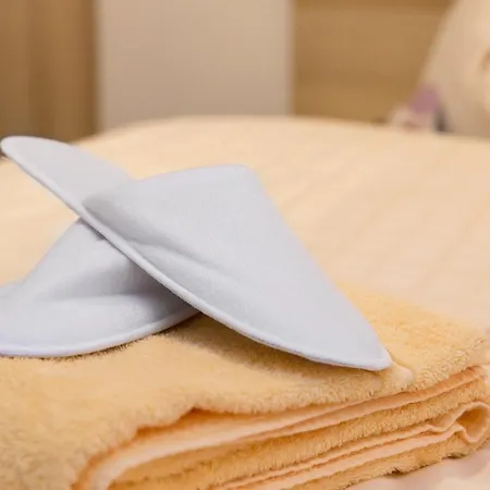 Hotel Taunustagungshotel 3*