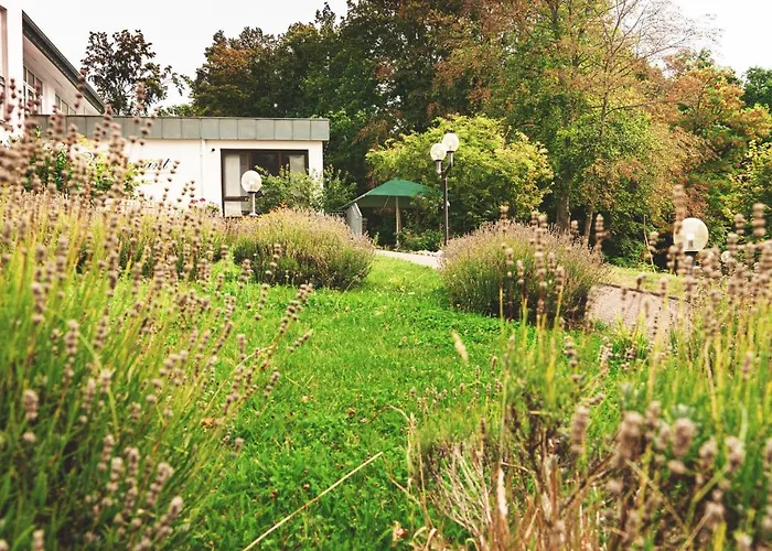 Taunustagungshotel 3*