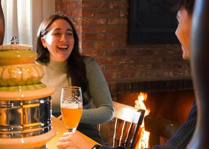 Taunustagungshotel 3*