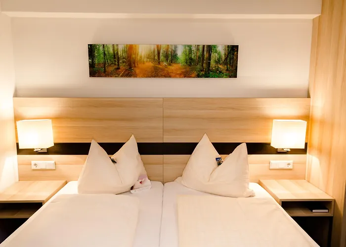 Taunustagungshotel 3* Friedrichsdorf