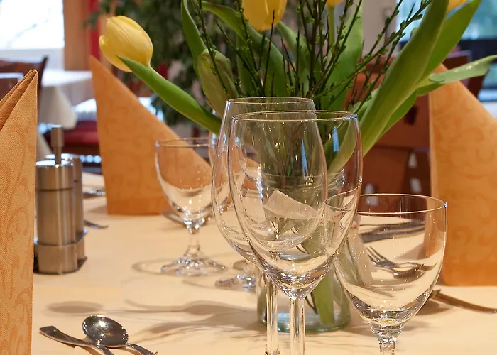 Szálloda Taunustagungshotel 3*