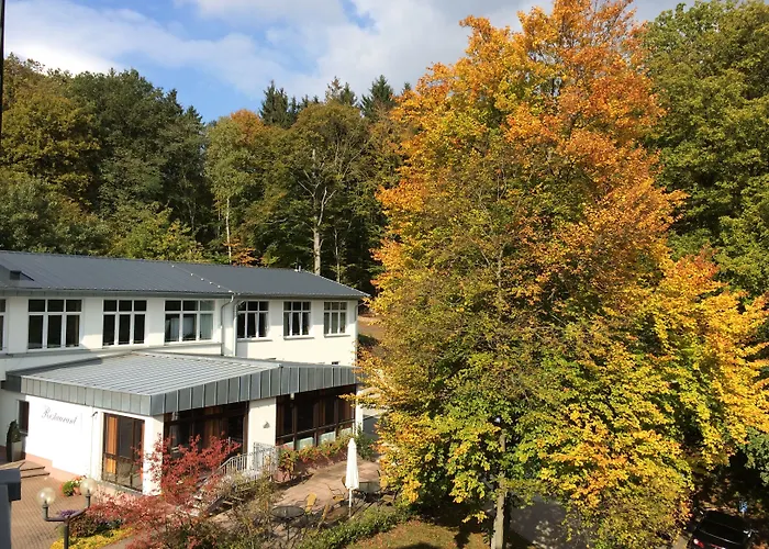 Taunustagungshotel Szálloda 3*