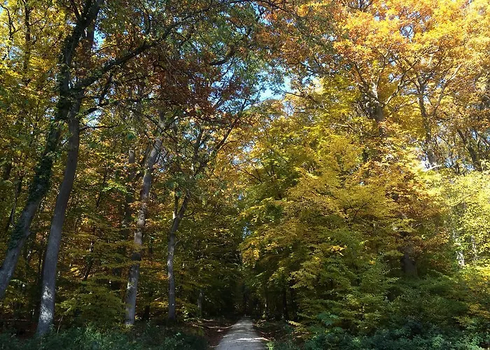 Taunustagungshotel 3*