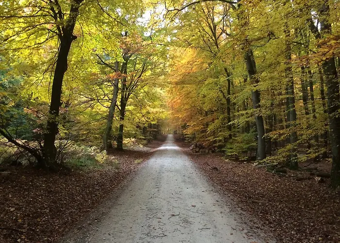 Taunustagungshotel Hotel