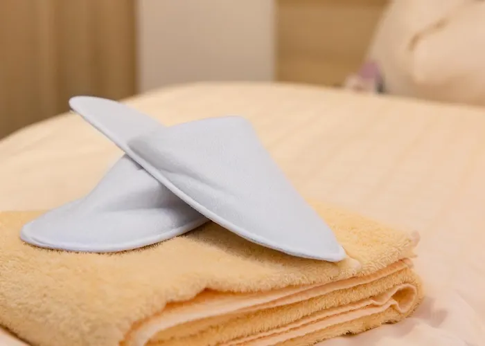 Szálloda Taunustagungshotel 3*